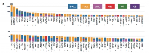 Figure showing some of the mutated genes by tumor type