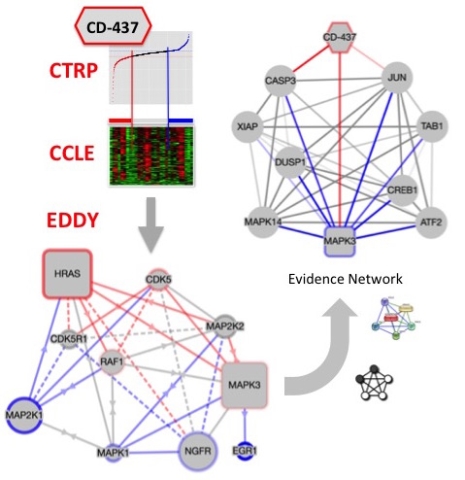 Pathway Map (Differential dependency network).