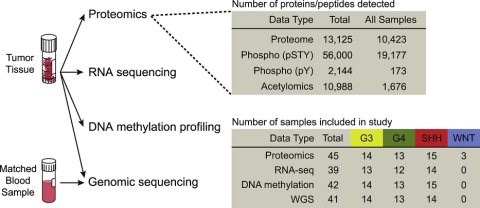 Summary of Data Types Included in the Study, Depth of Proteomic Data Types, and Cohort Composition