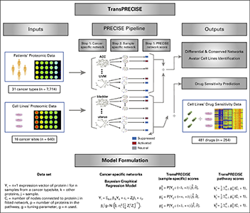 Overview of the TransPRECISE framework