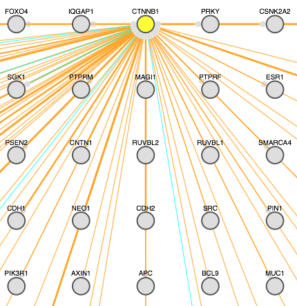 Predicted beta catenin interacting proteins.