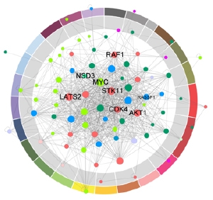 PPI maps cancer genes like MYC, STK11,RASSF1 and CDK4