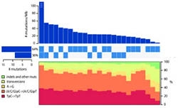 sequencing reveals mutations across genome
