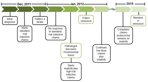 Schematic timeline of Harrison's cancer treatment