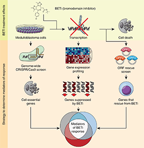 Integrative genomic analysis to identify mediators of BETi response