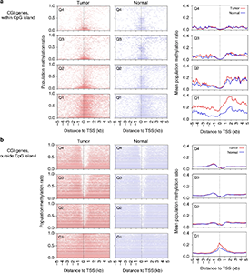 DNA methylation and gene expression in HPVOPSCC and normal oropharynx