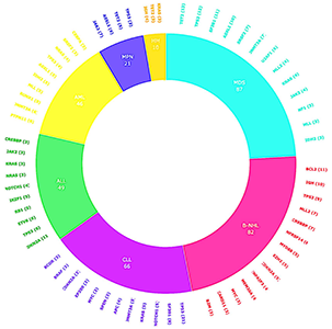 Overview of hematopoietic malignancies and most frequent alterations.
