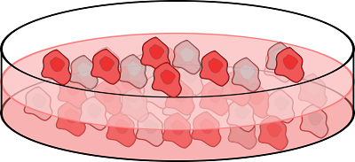 Cartoon of different color cells in a petri dish