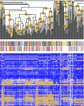 Cropped view of the cluster on Cancer Therapeutics Response Portal v2