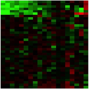 Heat map of an expression array 