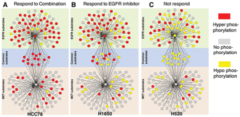 Master regulating peptides in primary lung cancer samples.