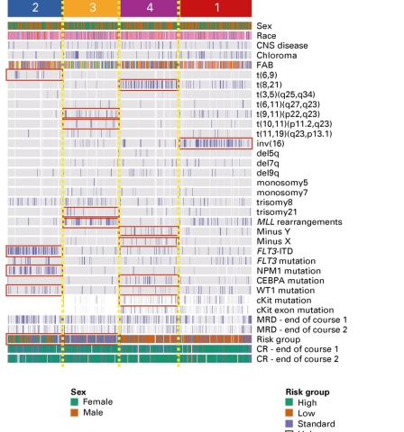 Clustering of miRNA expression profiles from primary AML