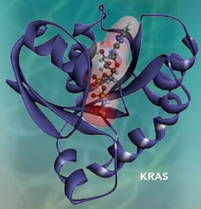 KRAS Protein Structure