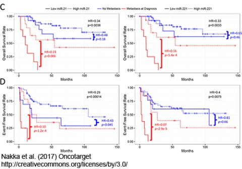 Kaplan-Meier analyses of miR-21 and miR-221 in the TARGET cases