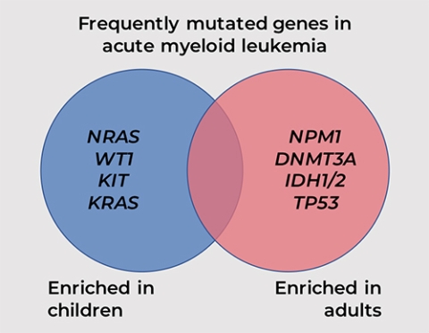 Genes differentially expressed by pediatric and adult acute myeloid leukemia