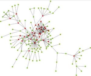 Human protein-protein interaction network 