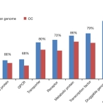 ORFeome gene graph