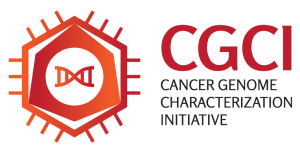 Cancer Genome Characterization Initiative logo. 